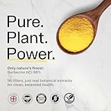 Sacred Summit Pure Berberine 500mg – 10:1 Extract (5000mg Equivalent) – Vegan Capsules Made in UK – Premium Plant-Based Supplement for Everyday Balance and Vitality – 90 Capsules - Image 7