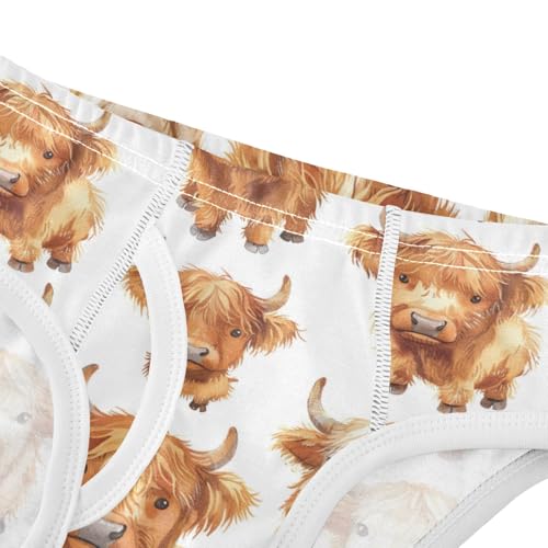 Boys' Exclusive Briefs Toddler Underwear 95% Combed Cotton Boxerbriefs 2T Highland Cow Pattern 174