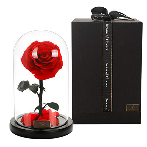 A Surprised Red Fresh-Keeping Rose, Blooming Beautiful and Elegant in the Glass Cover, Valentine\'s gift, Birthday Present, Mother\'s Day gift, Perfect Eternal Flower For The Person You Like