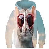  Rats avec lunettes de soleil. Sweat à capuche enfants garçons filles pull sweat dessin animé pull à capuche drôle impression 3D hauts à manches longues pull vêtements de sport pour jeunes 9-11 ans
