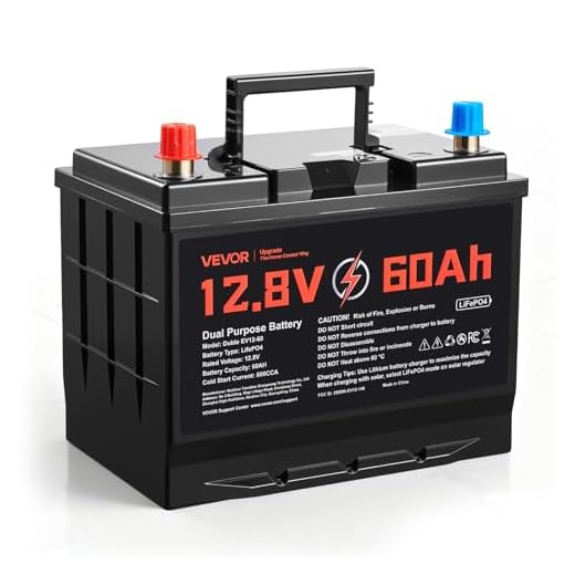 VEVOR 12V 60Ah LiFePO4 Dual Purpose Battery, 800CCA BCI Group 24 Deep Cycle & Starter Lithium Battery, Built-in Smart BMS, Automotive Start-Stop for RV, Marine, Trolling Motor, Car & Engine Starting