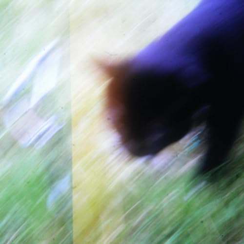 Image of 20250124