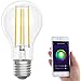 Produktbild Luminea Home Control WLAN Lampen: LED-Filament-Lampe, komp. zu Amazon Alexa & Google Assistant, 6500 K (WLAN LED Lampen, LED Filament E27, Lampenfassung Schalter)