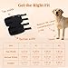 Petanims Dog Front Leg Brace – Carpal/Wrist Support for Dogs, Adjustable Non-Slip Wrap for Sprain, Arthritis & Injury Recovery, Breathable Comfort, Fits Left or Right - Extra Large