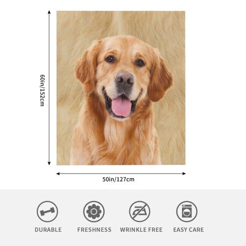 Doinbee Golden Retriever Dog Blankets Cute Dog Labrador Retriever Puppy Pet Throw Blanket Flannel Soft Warm Fluffy Fleece Blanket For Car Sofa Chair Bed Living Room Bedroom All Season 60"X50" #TOP4