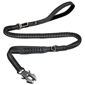 Raipult Tactical Heavy Duty Bungee Dog Leash for Medium Large Dogs That Pull, Military K9 Working Lead, 4-6FT Shock Absorbing Frog Clip Leash with Padded Traffic Handle & Car Seatbelt, Black