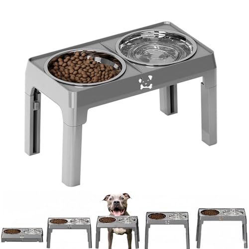 Lifetips AJEsbgEuEeA Lp H t[h{EX^h {E  ܂肽 pT|[g Hׂ₷ Hh~ 􂢂₷ ~  i5iK O[j