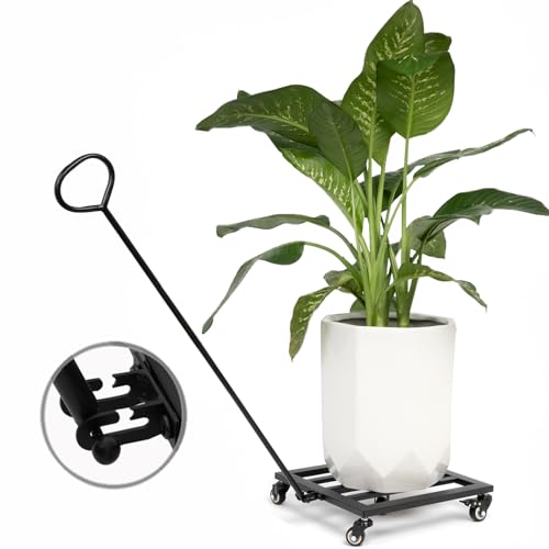 BOOXMIMI Heavy Duty Plant Caddy with Wheels 14 Inch Square Rolling Garden Trolley for Indoor Outdoor Plants 300 Pound Capacity Durable Metal Planter Base with 360 Degree Locking Wheels Easy Mobility