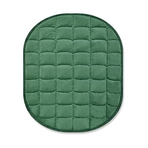 TONGDADA Weighted Lap Blanket 7lbs for Adult,Perfect for Relaxation, Lounging, Napping, Sleeping & Travel,Luxury Minky Weighted Body Blanket,Weighted Throw Blanket-Dark Green Minky, 29" x 24" Cover