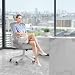naspaluro Office Desk Chair with Flip-Up Armrest High Back Ergonomic Computer Chair with Adjustable Headrest and Lumbar Support Executive Swivel Chair for Home and Office - Gray