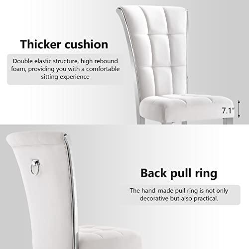 Acedécor Dining Chairs,Upholstered High End Velvet Dining Room Chair With Metal Back Ring Pull Trim Silver Legs,Modern Elegant Dining Chair For Dining Room, Apartment, Kitchen (White, Set Of 2) #TOP2