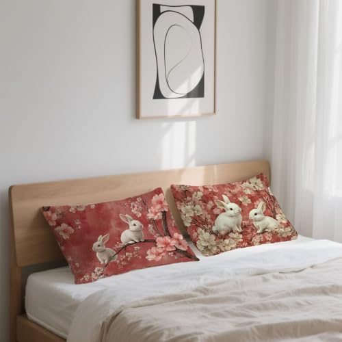 Coussin extérieur imperméable 50x70 protégeant votre canapé avec élégance - 7
