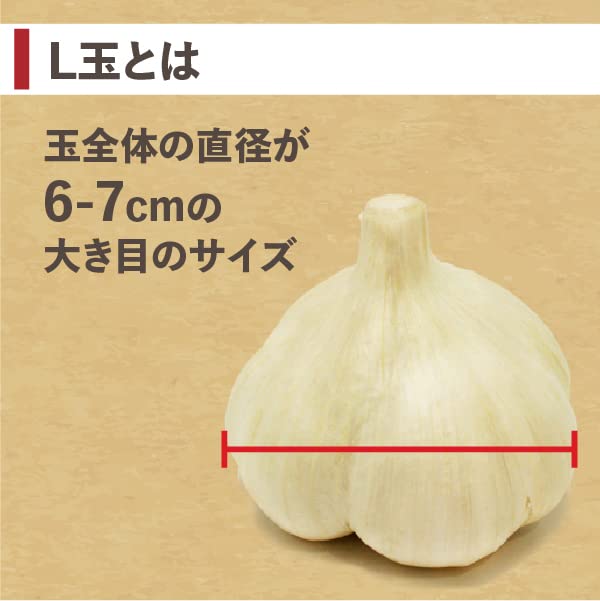 Amazon.co.jp: [青森県産] にんにく 福地ホワイト六片 L玉A品 1kg 約10