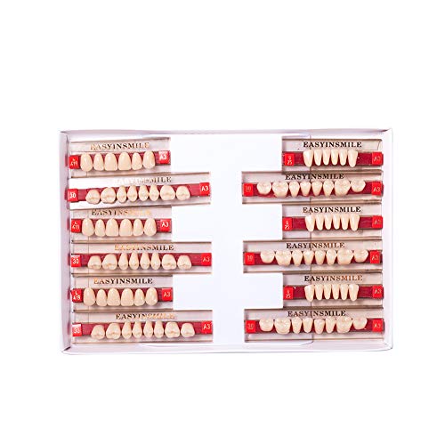 Image of Easyinsmile Dental Synthetic Resin Teeth A2 A3 False Upper Lower Teeth Replacement Dentures for Halloween (A3, Full Set 419+U25+30)