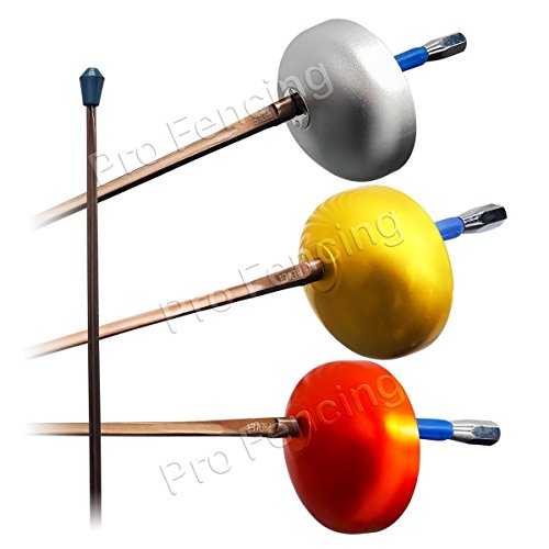 Budget complete practice epee, french grip