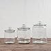 Restaurantware Glass Storage Containers - 1 Count 6 Liter Airtight Kitchen Canisters - Pantry Jars With Lids For Food - Clear Crystal Glass