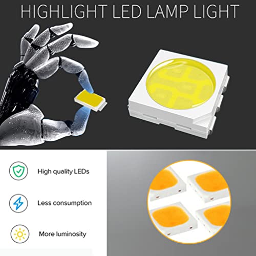 MOLEAQI 2pcs LED luci Targa luci di Posizione