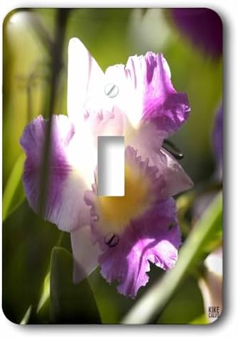 3dRose Orchid is a Colorful garden flower single toggle switch image 3