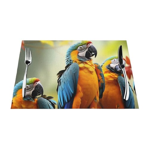 4 sets de table en PVC motif perroquet antidérapants et lavables - 7
