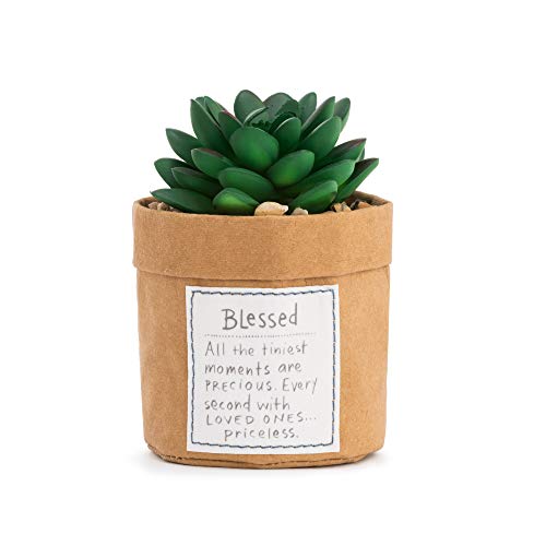Demdaco Green Succulent Plant Kindness Love 3 X 5 Acrylic Tabletop Artificial Flower Arrangement #TOP6