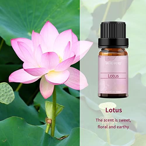 BURIBURI Lotus and Peony Essential Oil Set, 100% Pure Aromatherapy Oil for Diffuser, Massage - 2Pcs 10ML - 1