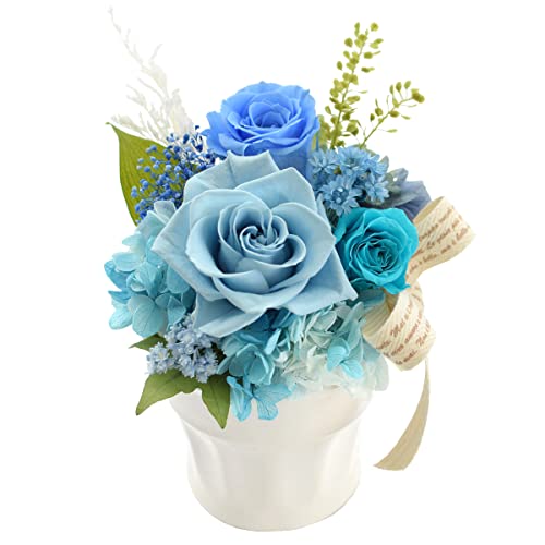 ԗR vU[uht[ pbg (C6 Rbgu[/NAP[X) Of[V AWg t[ j Mtg v[g o  a j ސEj