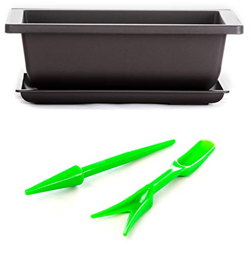 Astoria Macetas para Entrenamiento de Bonsái con Bandejas para Agua de Riego, Juego de 3 Tiestos de Plástico de Poliresina Inastillable con Malla de Drenaje - Herramientas Plantador y Transplantador