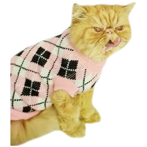 Cute Small Dog Jumper for Winter Cover
