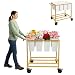 Verssure Flower Cart with 8 Buckets,Flower Cart Display Stand with Wheels,Bloom Bar,Flowers Stand for Wedding ,Party and Home Decor,Gold