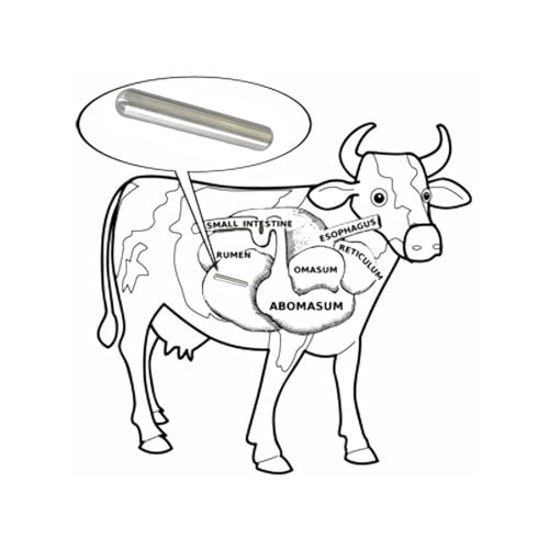 Image of AlNiCo5 Magnets, Cow Magnet 1 /2 inch D x 3.00 inch L - 10Pack,Silver Heavy Duty Cylinder Magnet,Cow Magnetic Metal Picker,Magnetic Stud Finder,Corrosion-Resistant and Water-Proof.