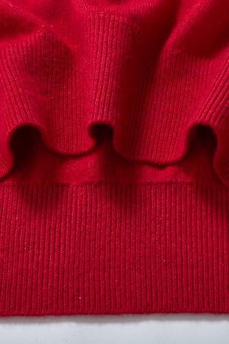 Image of JENNIE LIU Women's 100% Pure Cashmere Long Sleeve Ava V Neck Pullover Sweater
