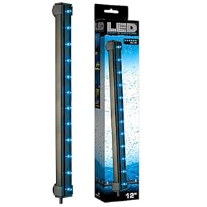 Blue LED Submersible Air Bubble Light Underwater Aquarium Fish 6,12,18″ (12″ 2.7w Blue LED Light &Airstone)