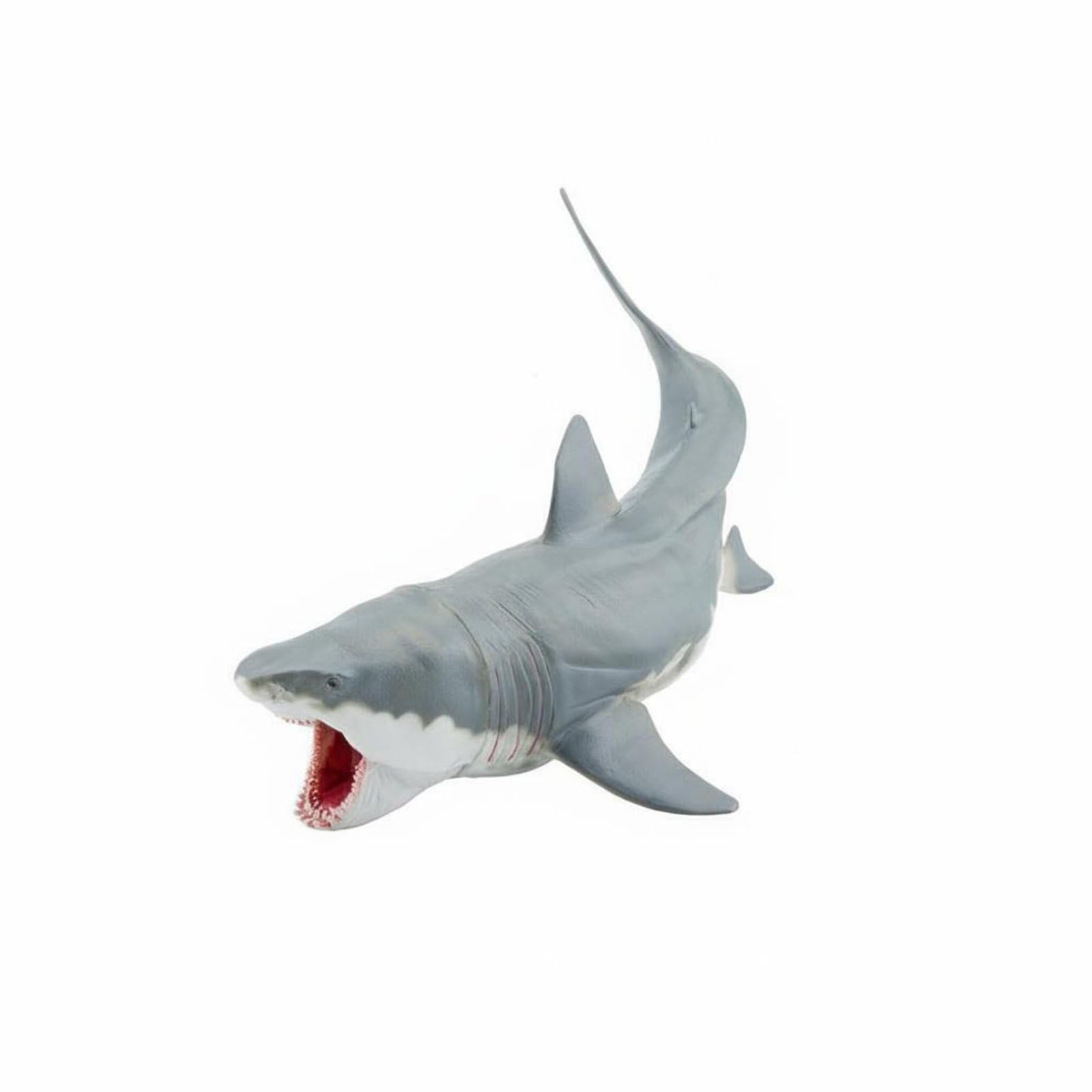 MotiveTech Megalodon Shark Toy Movable Jaw Animal Figurine Educational Marine Animal for Collectors, Kids, Desk Decoration, School Projects, M, Megalodon