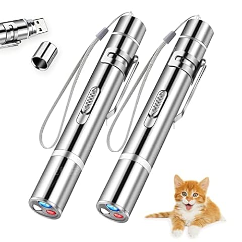 CHUQIANTONG 2 Pcs Cat Toy Laser Pointer Fun Playing Training Indoors Interactive Toys Presentation Clicker Pointer Teaching Pen USB Recharge 7 Adjustable Patterns Pet Chase Toy (Double) Cover