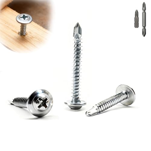 Hexizexi 100 tornillos autorroscantes de acero inoxidable, 4,2 x 19 mm, autorroscantes, plateados, con 2 puntas para madera y acero