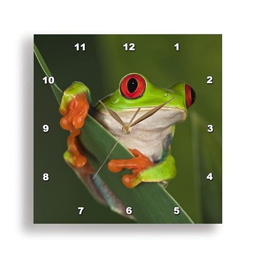 3dRose dpp_83654_2 Redeyed Tree Frog 'Agalychnis Callidryas' NA02 AJE0384 Adam Jones Wall Clock, 13 by 13-Inch