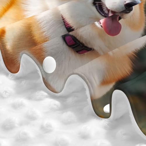 Housse de siège auto bébé Corgi pour stopper le soleil et protéger bébé - 6