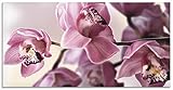 glasbild orchidee 20x20 PRODUKTION: Unsere Glasbilder kommen aus eigener Produktion in Aachen – Made in Germany. Bereits seit 1967 ist unser Familienunternehmen Spezialist im Bereich Wanddekoration