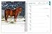 Horse Lovers | 2027 6 x 7.75 Inch Spiral-Bound Wire-O Weekly Engagement Planner Calendar | New Full-Color Image Every Week | BrownTrout | Animals Equestrian