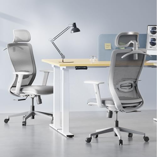 Image of FLEXISPOT OC3 Cloud Ergonomic Office Chair, Mesh Back Computer Chair, Home Office Desk Chairs with Adjustable Lumbar Support /3D Headrest /Reliable Base, Elastic Foam Seat, Light Gray