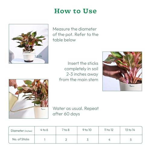 Image of UGAOO Bloom Fertilizer Sticks for Flowering Plants | Slow Release Plant Food | Flower Booster & Blooming Fertilizer | Plant Nutrition for Potted Plants & Home Garden | Pack of 40