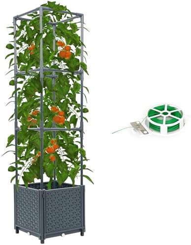Tomato Planter with Trellis Cage Raised Garden Bed Planters Boxes with Tomato Plant Cages Support Self Watering Pots for Climbing Flowers Vegetable Vine Vegetables Patio Greenhouse Indoor Outdoor