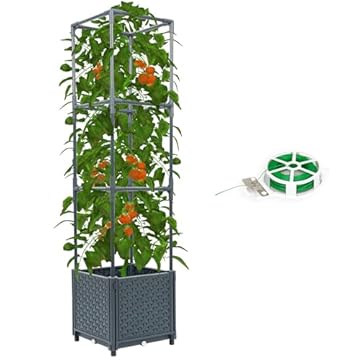 tomato trellis for raised beds