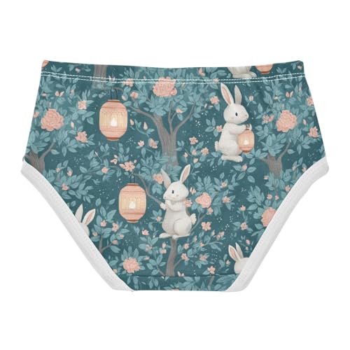 Wusikd Bunnie Girls' Underwear Cotton Cute Girls Briefs Soft Toddler Underwear 2T2