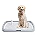 BEYOURCHOI 犬 トイレトレー 犬 トイレ 65X50CM 特大 犬 トイレトレー 飛び跳ね防止 ステップ しつけ トイレトレーニング 犬用トレイボックス屋内/屋外 高さ6.5CM