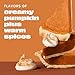 Premier Protein Shake, Limited Edition, Pumpkin Spice, 30g Protein, No Added Sugar, 24 Vitamins & Minerals to Support Immune Health, 11.5 fl oz, 12 Pack