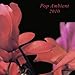 Pop Ambient 2010 [Vinyl]