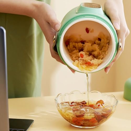 TOPINCN 500 W Kochen Tragbarer Elektrischer Topf Mini Edelstahl Multifunktionskocher, Mini 800 Ml Elektrischer Topf Kompaktes Design (EU-Stecker 220 V)