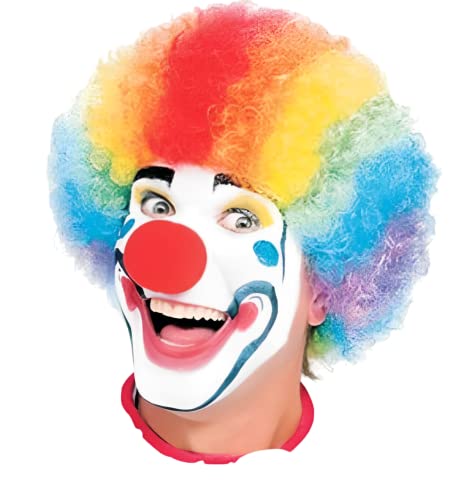 Dress Up America Clown Wig - Rainbow Wig for Men and Women - One Size Fits Most