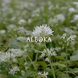 alboka mijas  Alboka